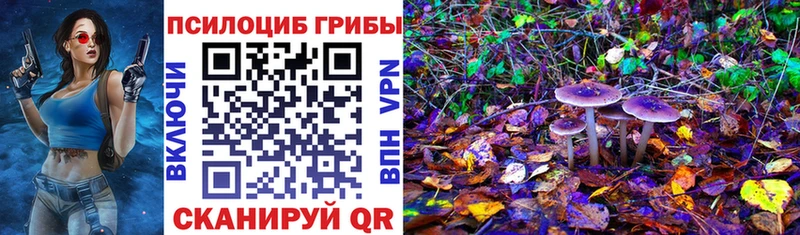 Купить  Амурск  Псилоцибиновые грибы ЛСД 